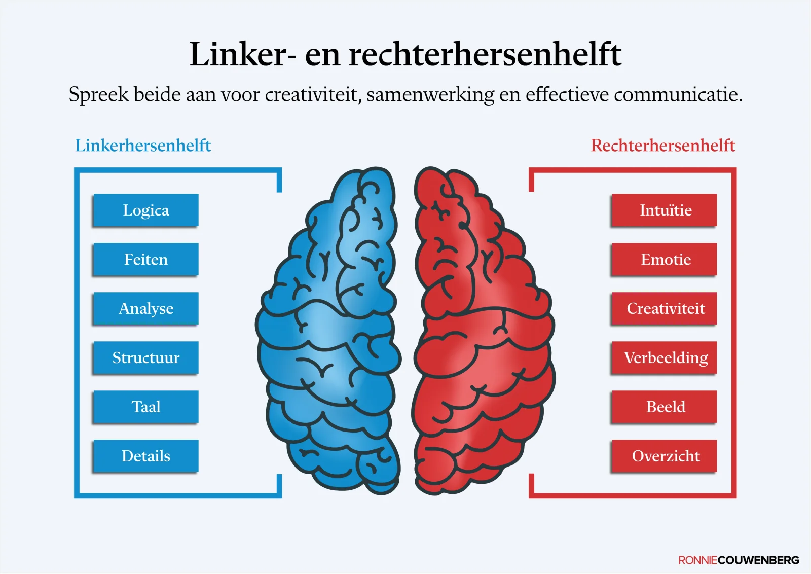 Praatplaat van Ronnie Couwenberg: de twaalf functies van de linker- en rechterhersenhelft, van logica en feiten tot intuïtie en verbeelding.